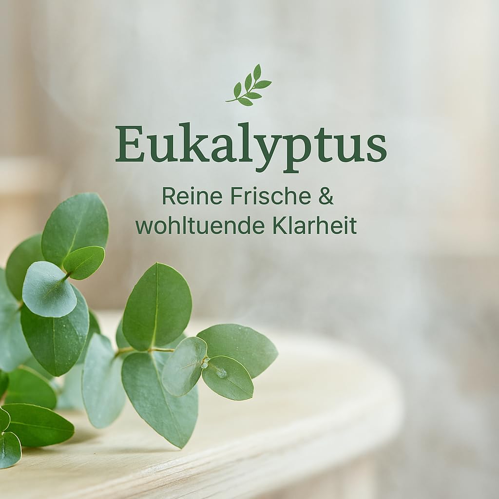 dufte-momente-saunaaufguss-konzentrat-eukalyptus-1-liter image 3