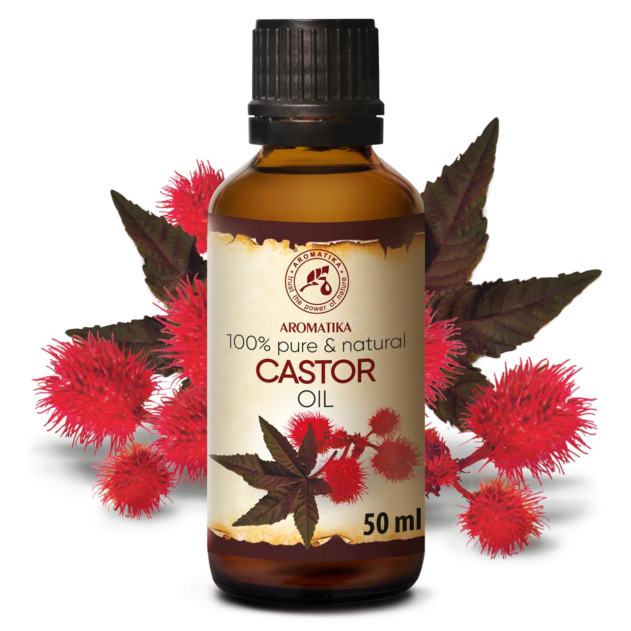 aromatika-rizinus-l-kaltgepresst-50-ml-ricinus-communis-k-rper-l image 2