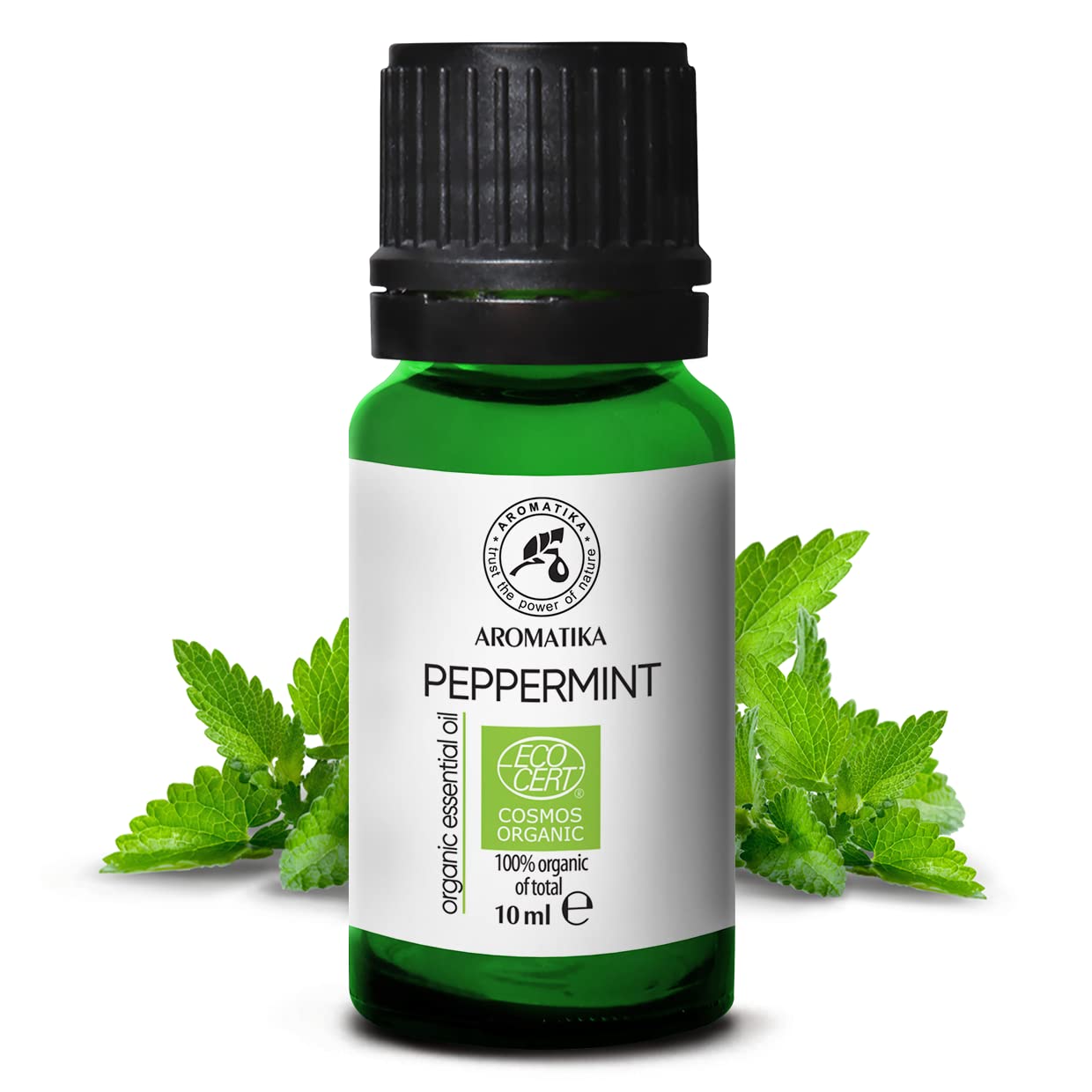 aromatika-bio-pfefferminz-l-10ml-therisches-l-mentha-piperita image 2