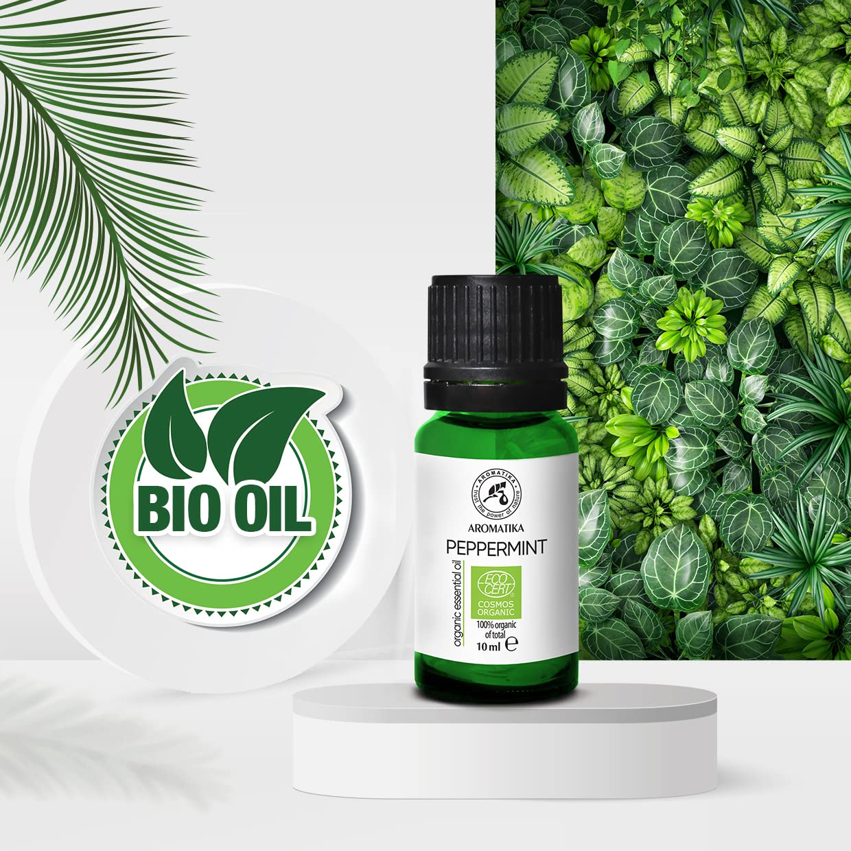 aromatika-bio-pfefferminz-l-10ml-therisches-l-mentha-piperita image 6