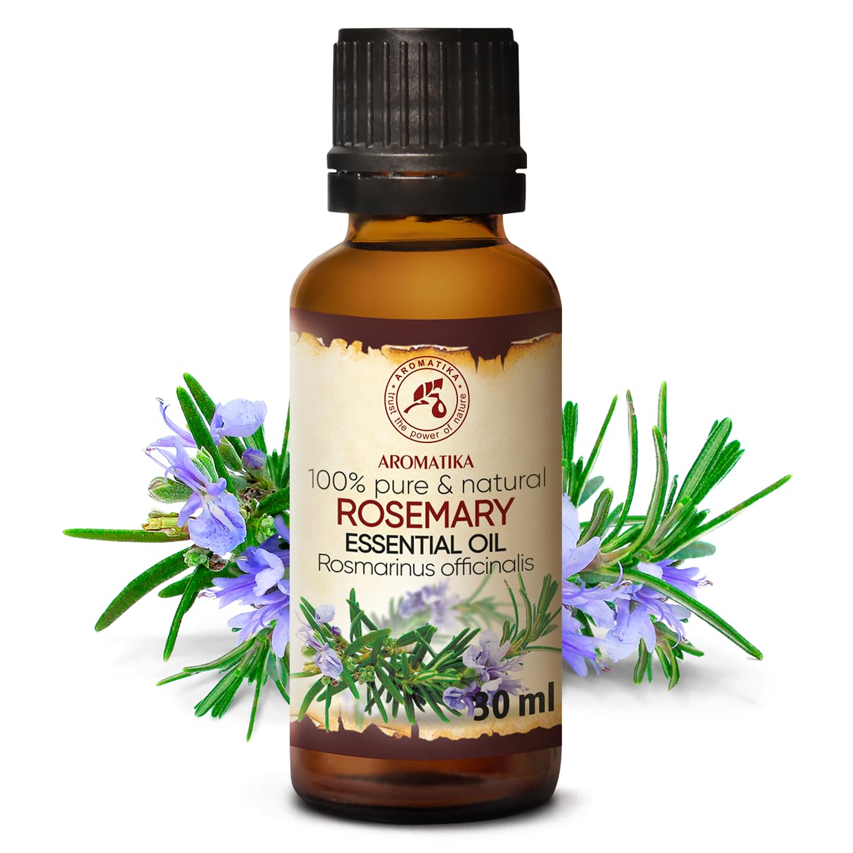 aromatika-naturreines-therisches-rosmarin-l-spanien-30ml-beauty-wellness-diffuse image 2