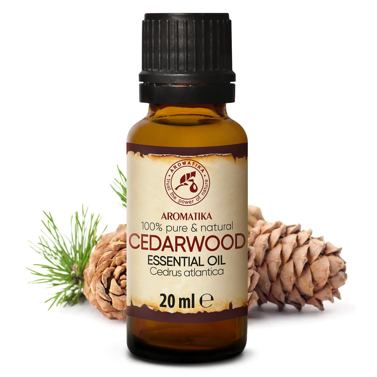 aromatika-zedernholz-l-therisches-l-20ml-cedrus-atlantica-marokko image 2