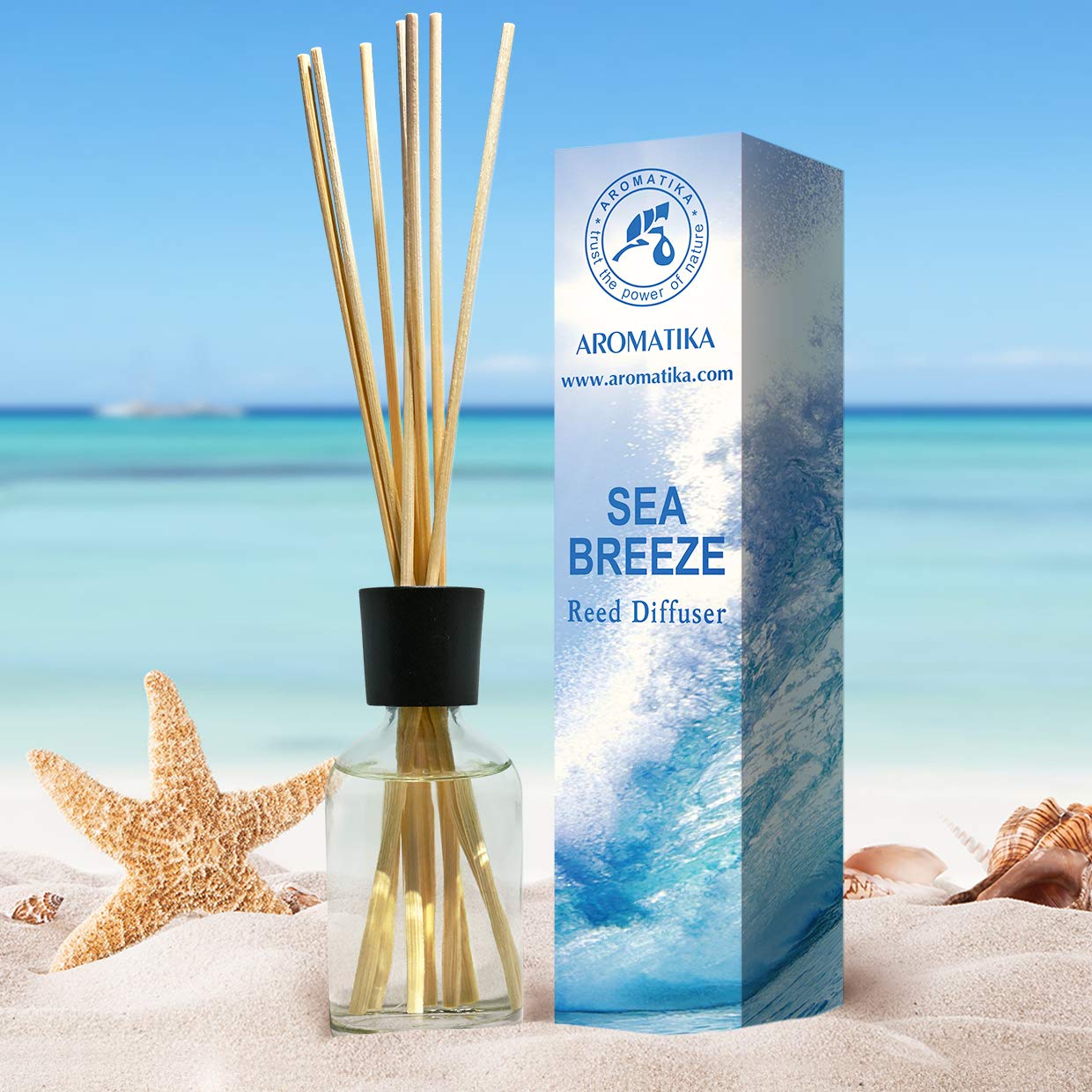 aromatika-raumduft-diffuser-meeresbrise-100ml-mit-st-bchen image 5