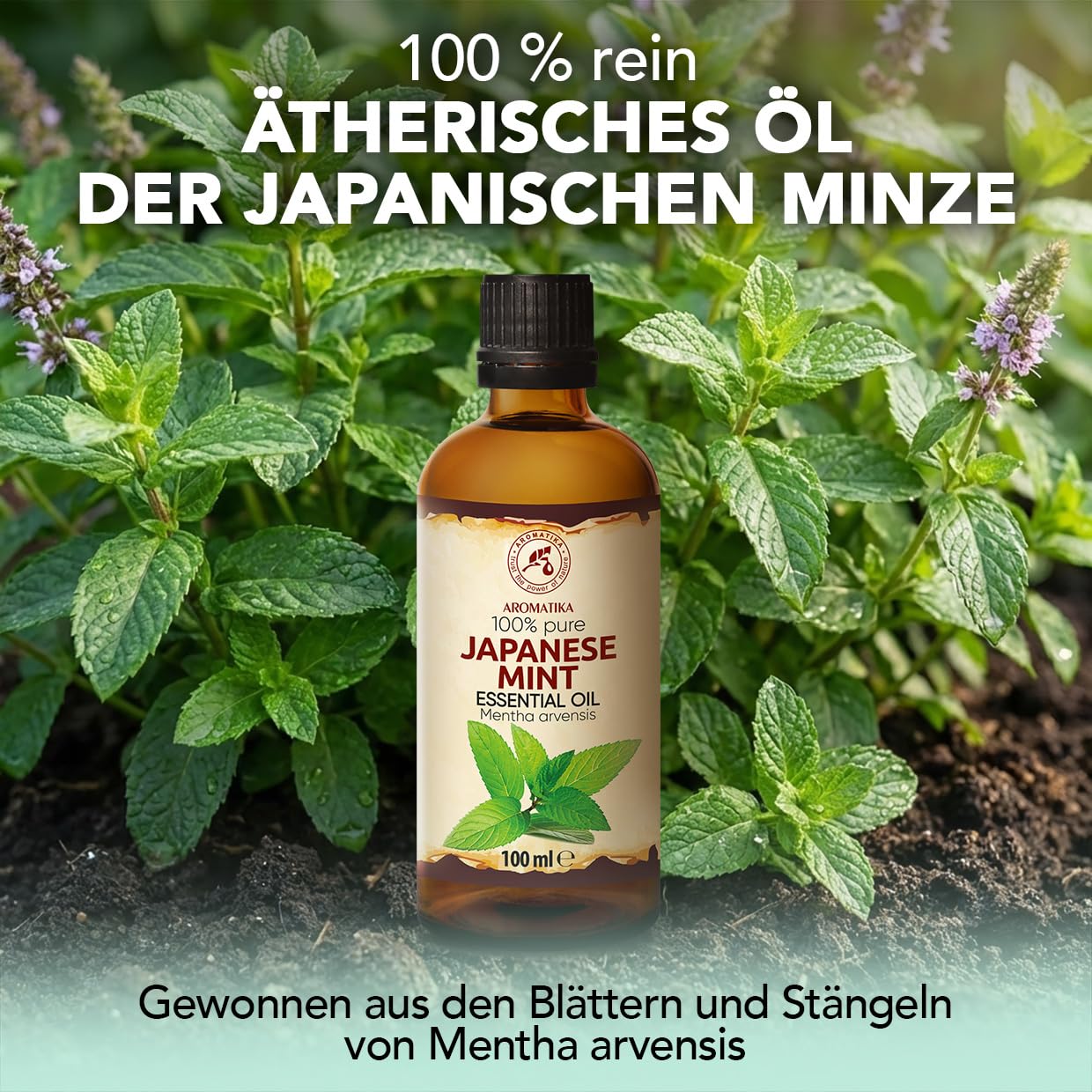 aromatika-therisches-l-japanische-minze-2x100-ml-f-r-diffuser image 2
