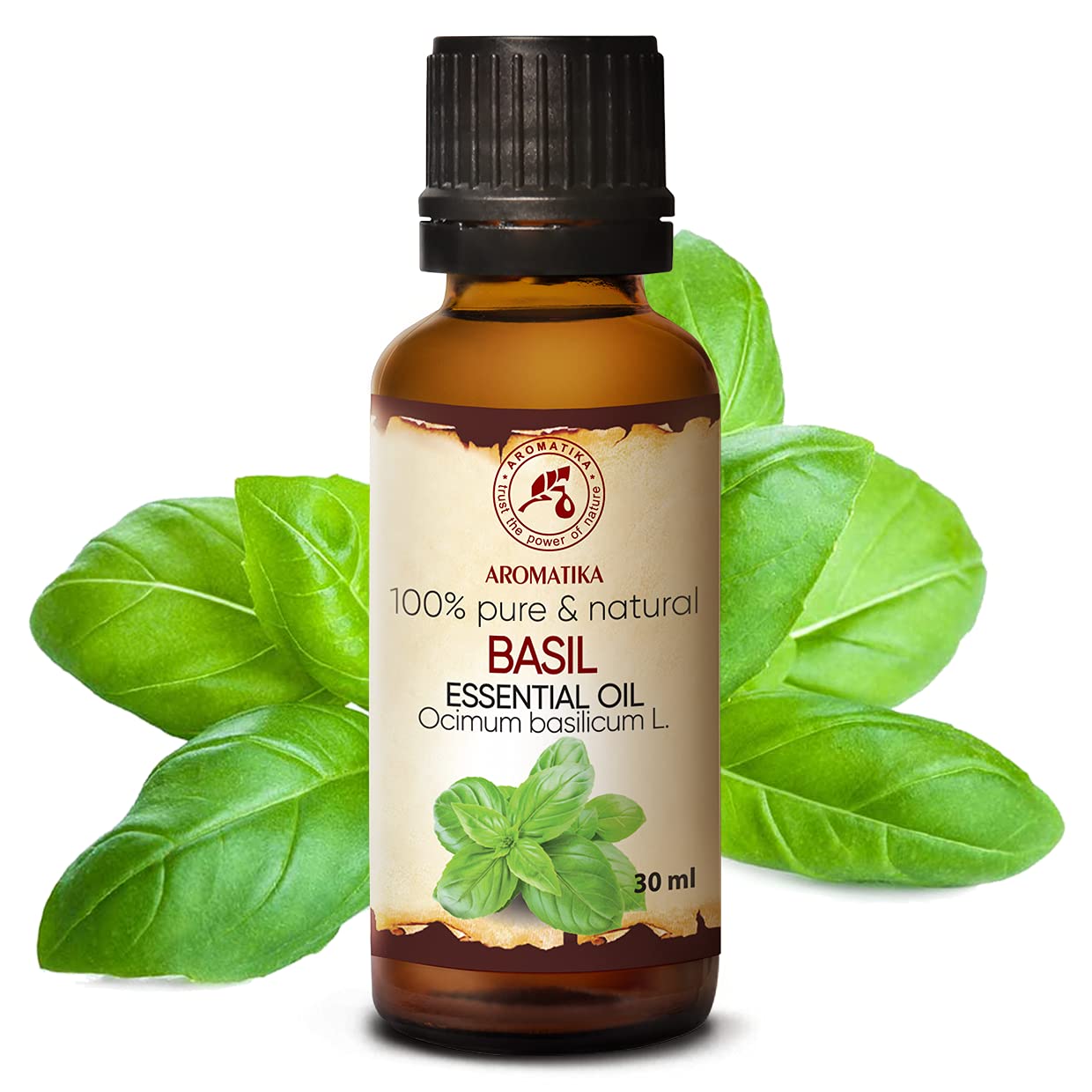 aromatika-basilikum-l-30-ml-naturreines-therisches-l-ocimum-basilicum image 2