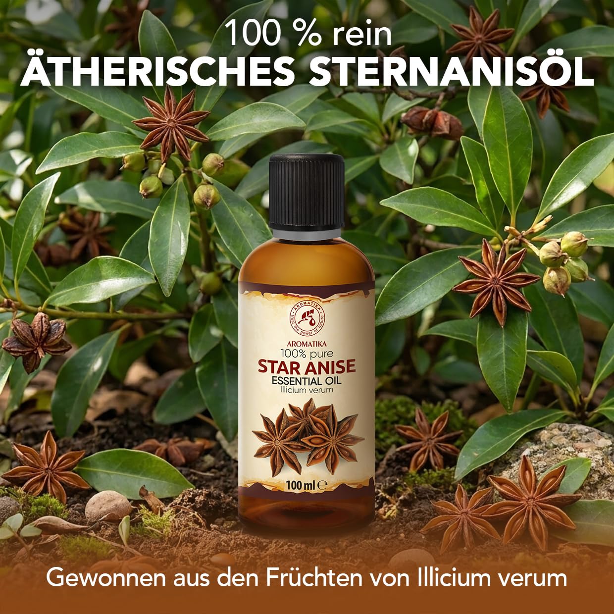 aromatika-therisches-sternanis-l-100ml-anis-l-f-r-diffuser-und-duftlampe image 2