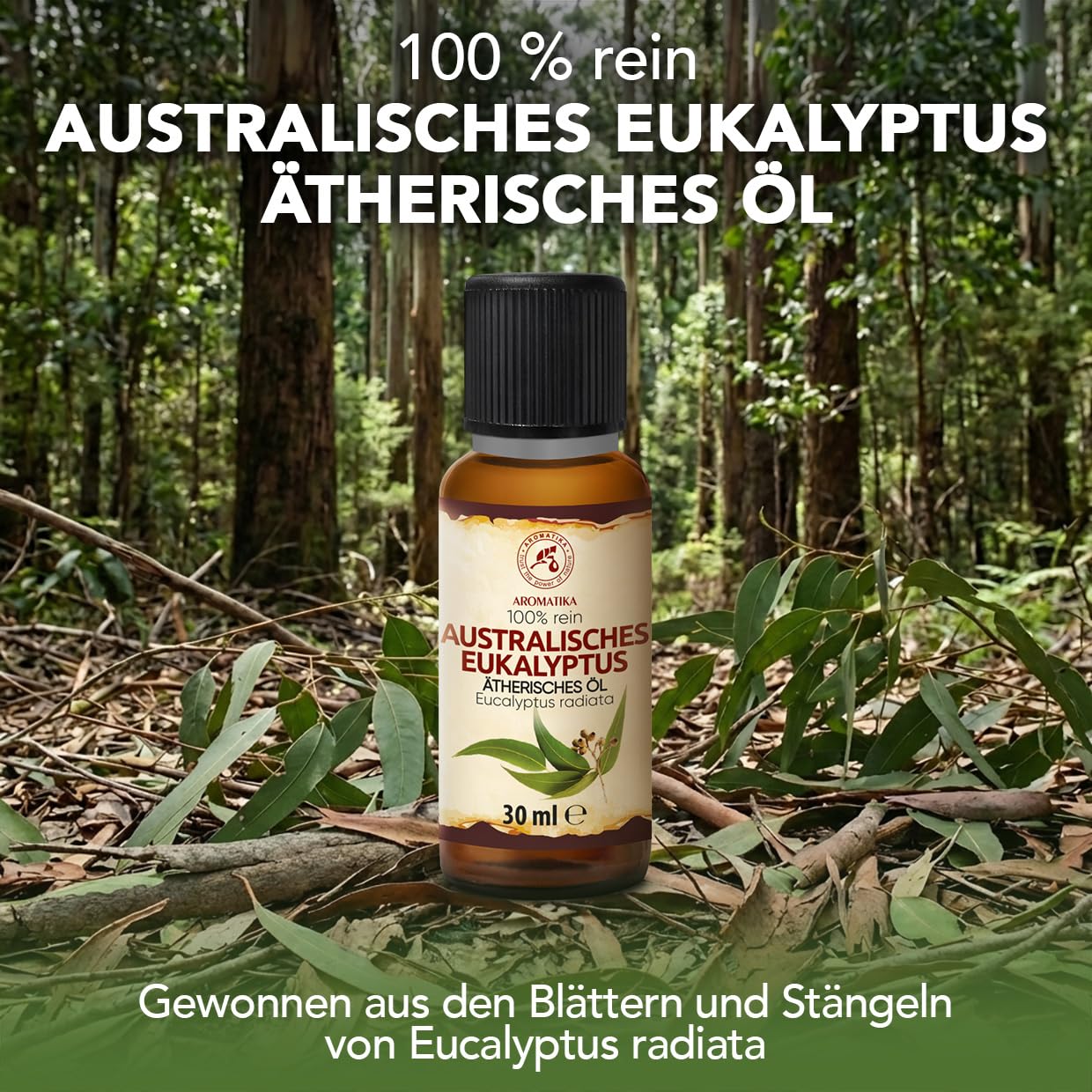 aromatika-australisches-eukalyptus-therisches-l-eucalyptus-radiata-30-ml image 2