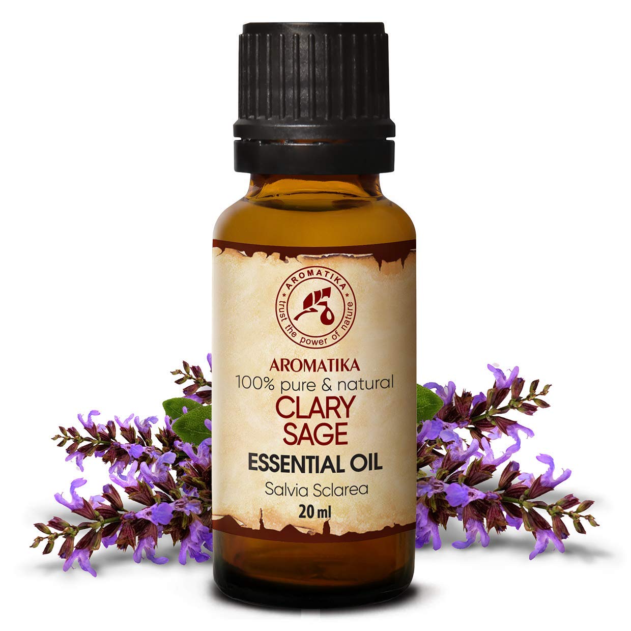 aromatika-muskatellersalbei-l-therisches-l-20ml-salvia-sclarea image 2