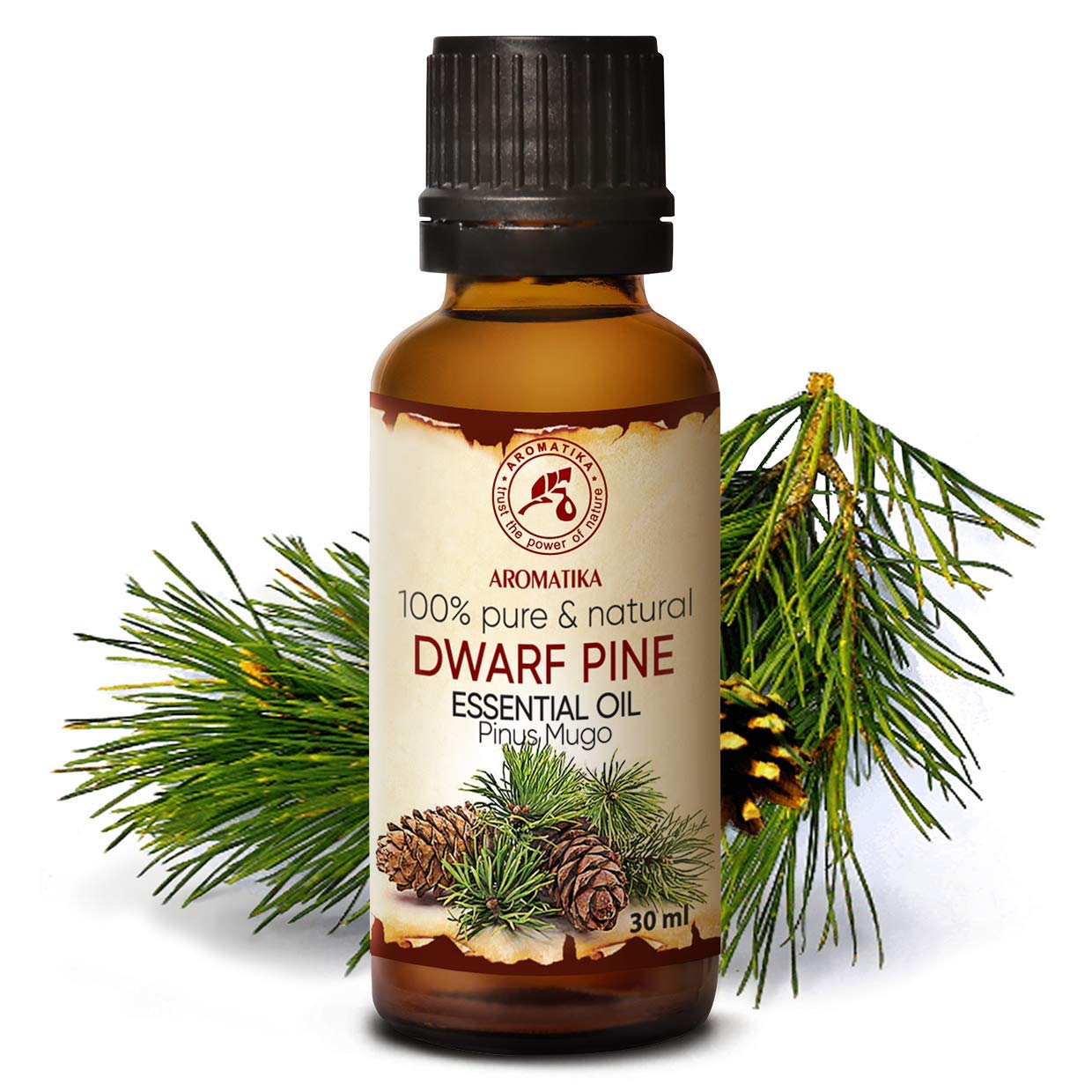 aromatika-latschenkiefer-l-30ml-pinus-mugo-aus-sterreich image 2