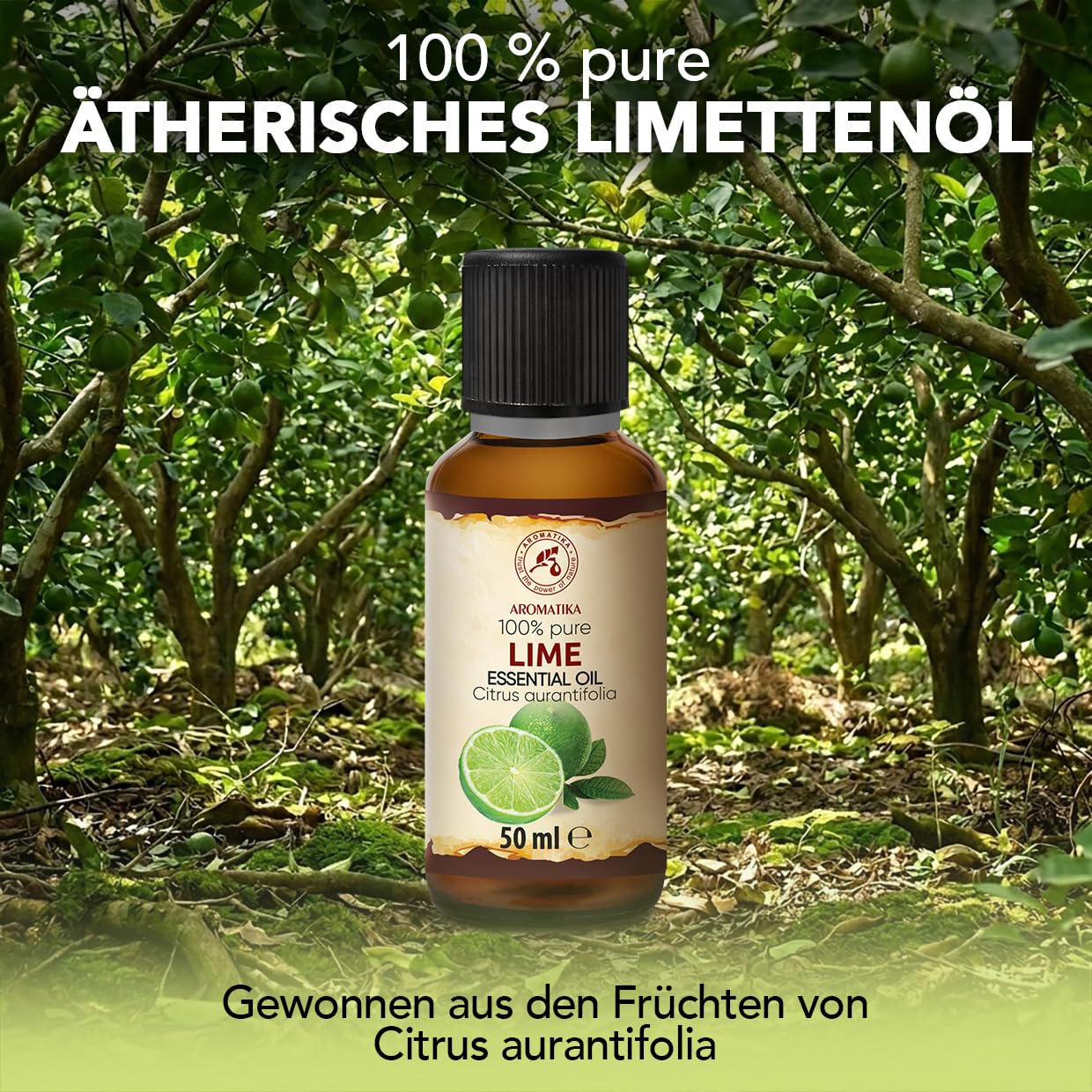 aromatika-therisches-limetten-l-50-ml-f-r-diffuser image 2