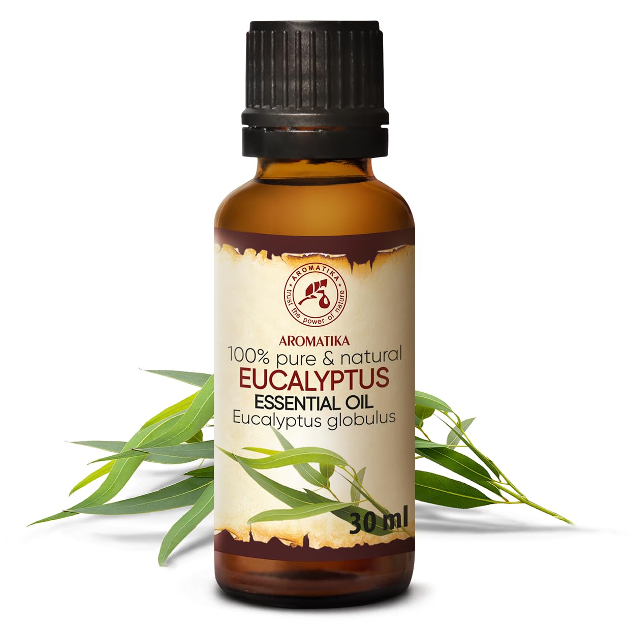 aromatika-eukalyptus-l-eucalyptus-globulus-30-ml-therisches-l image 2