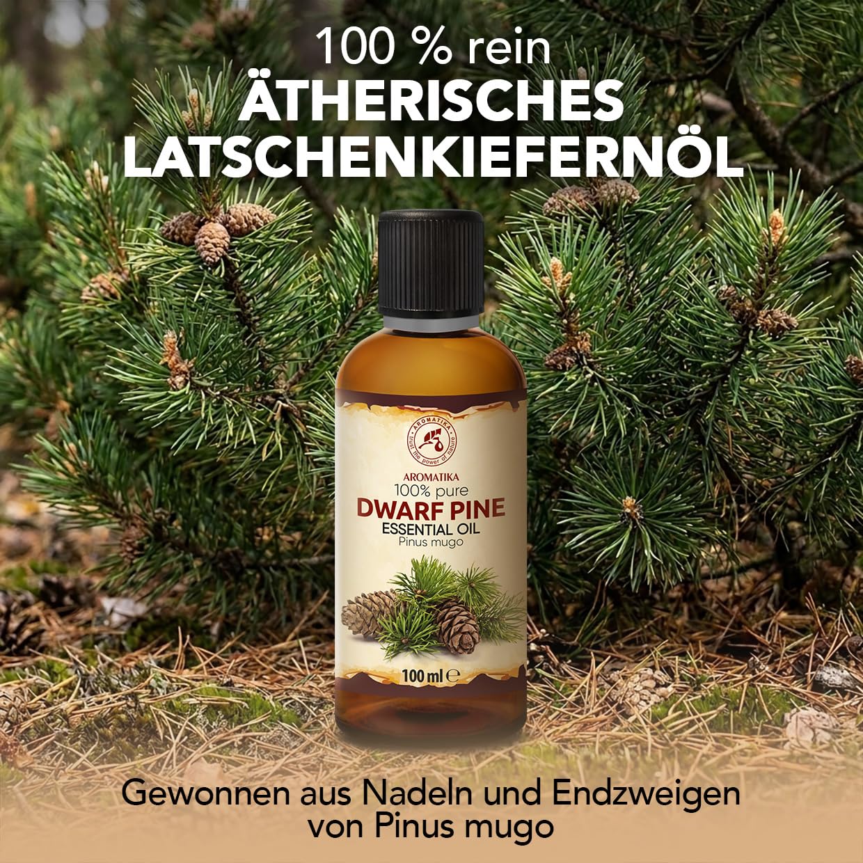 aromatika-therisches-latschenkiefern-l-100-ml-f-r-diffuser-und-duftlampe image 2