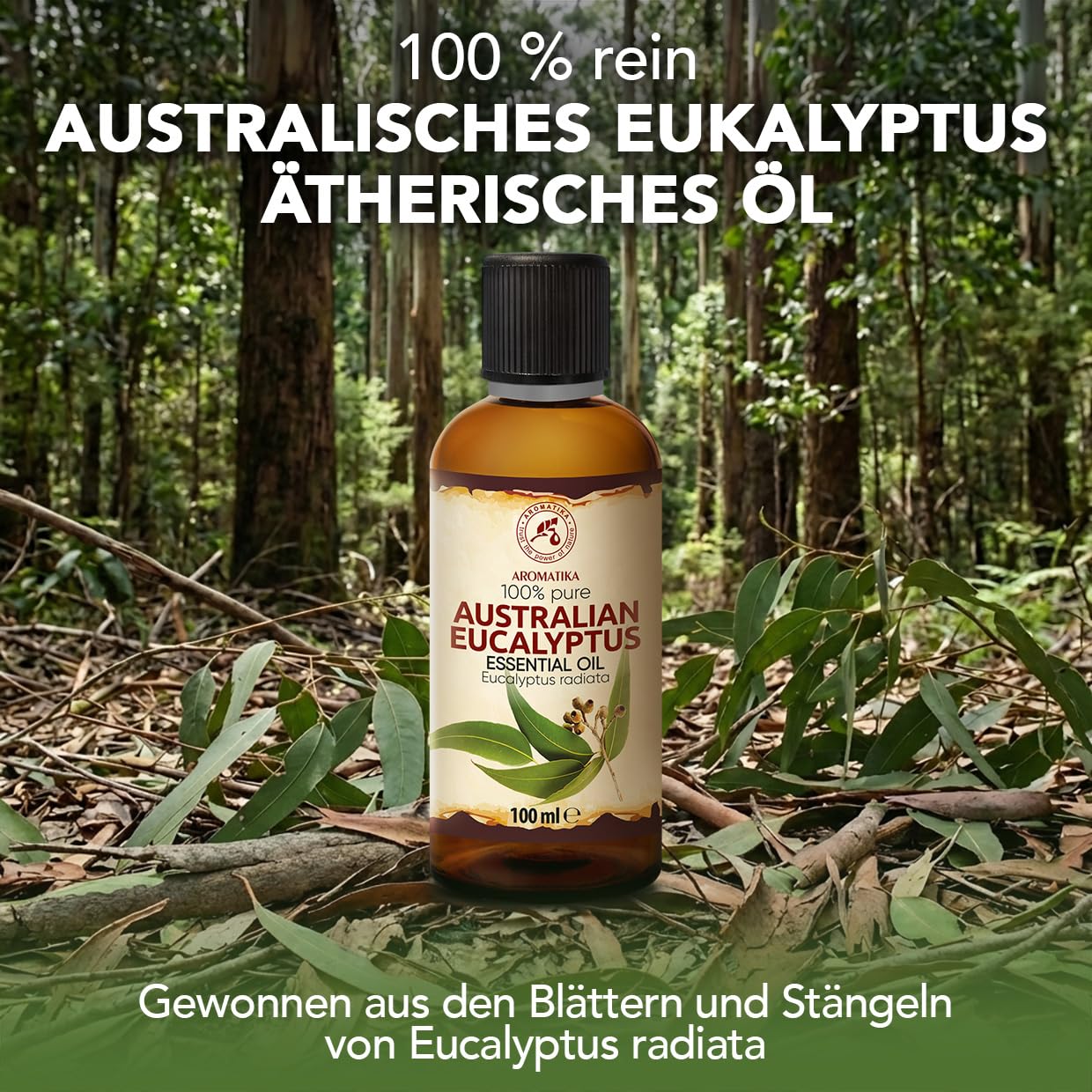 aromatika-australisches-eukalyptus-l-100ml image 2
