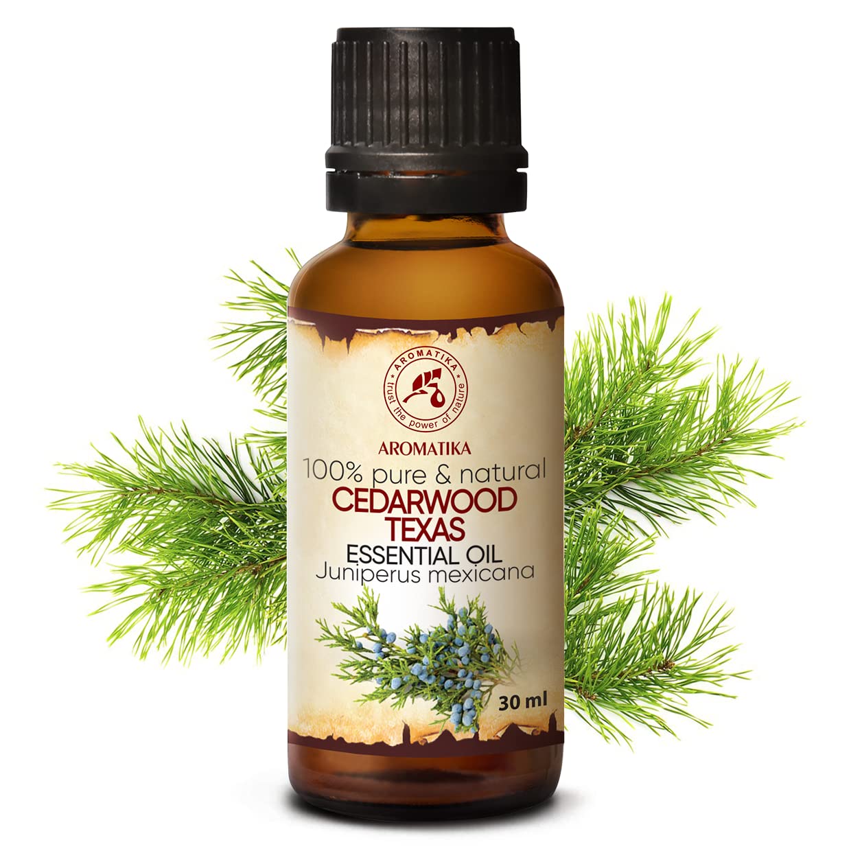 aromatika-zedern-l-usa-30ml-therisches-zedernholz-l-juniperus-mexicana image 2
