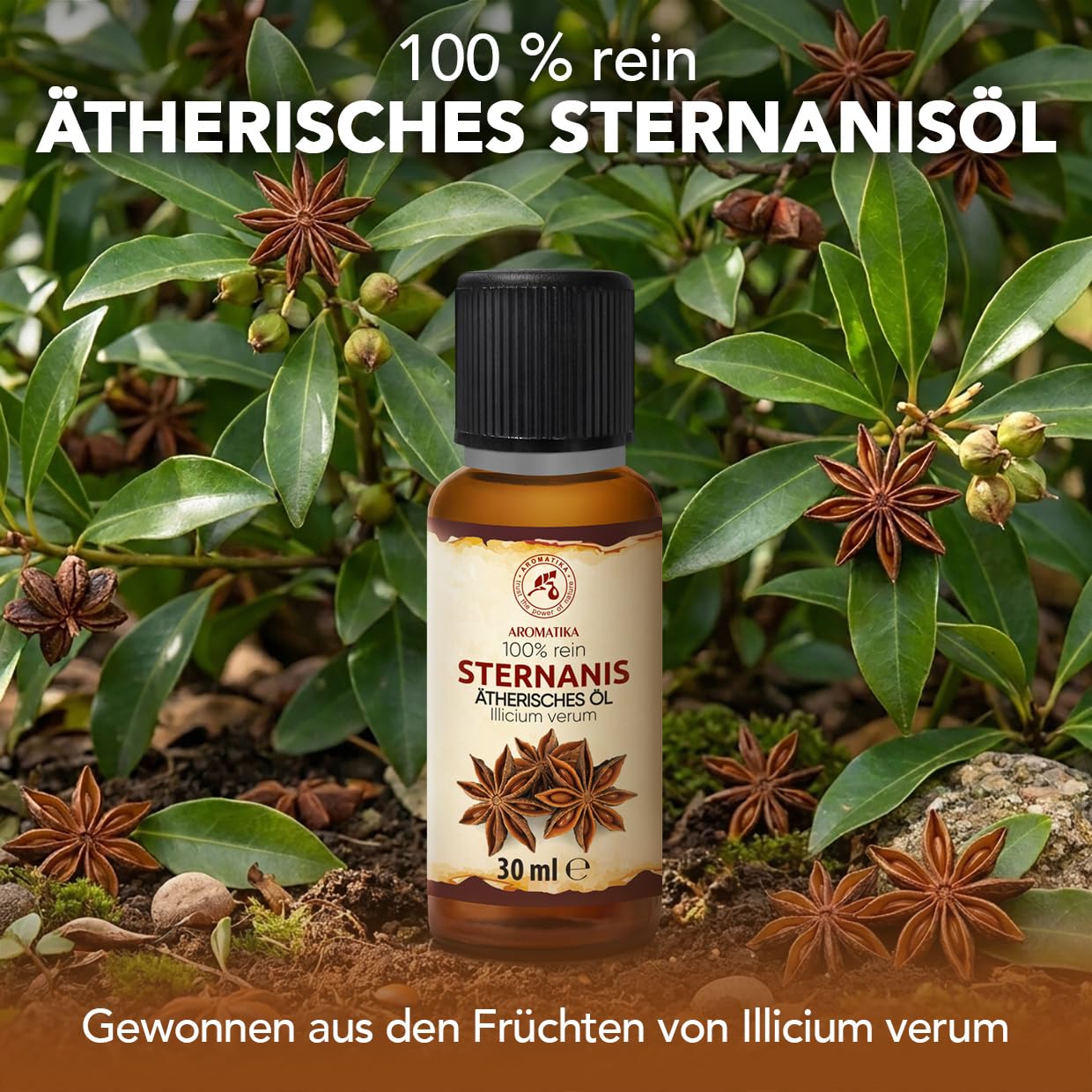 aromatika-sternanis-therisches-l-30ml-illicium-verum image 2