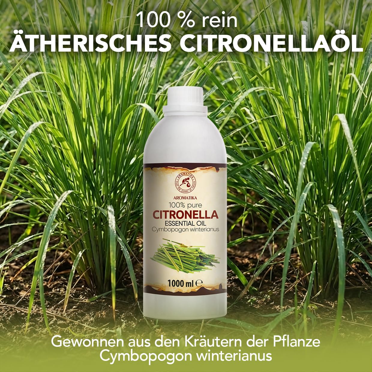 aromatika-therisches-citronella-l-1000-ml-cymbopogon-winterianus image 2