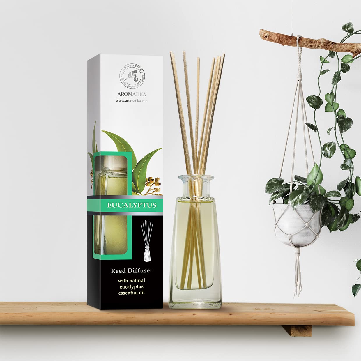 aromatika-raumduft-diffuser-eukalyptus-100ml-mit-st-bchen image 6