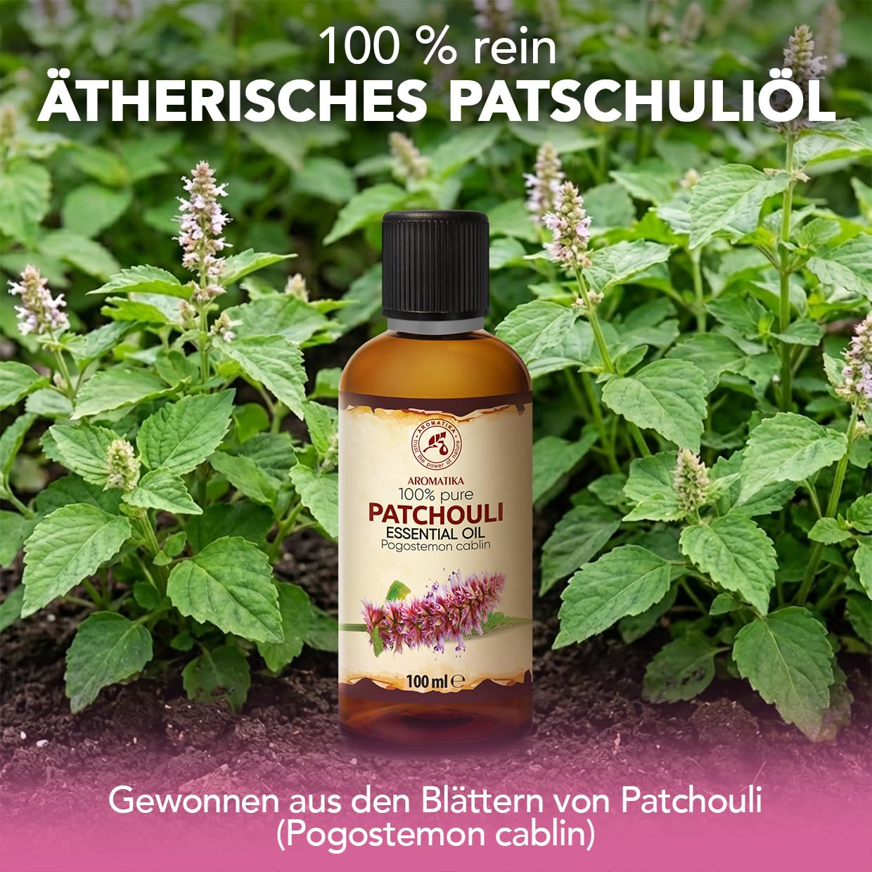aromatika-therisches-patschuli-l-100-ml-pogostemon-cablin image 2