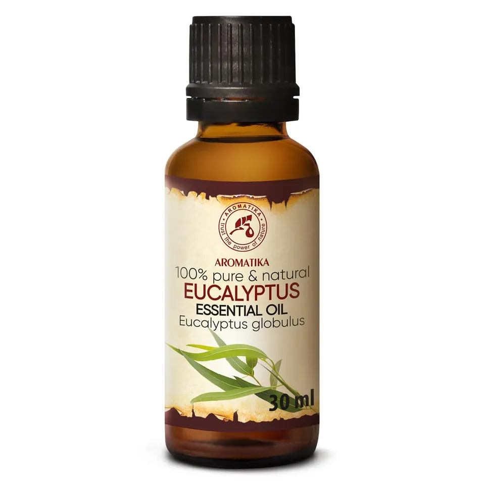aromatika-eukalyptus-l-eucalyptus-globulus-30-ml-therisches-l image 1