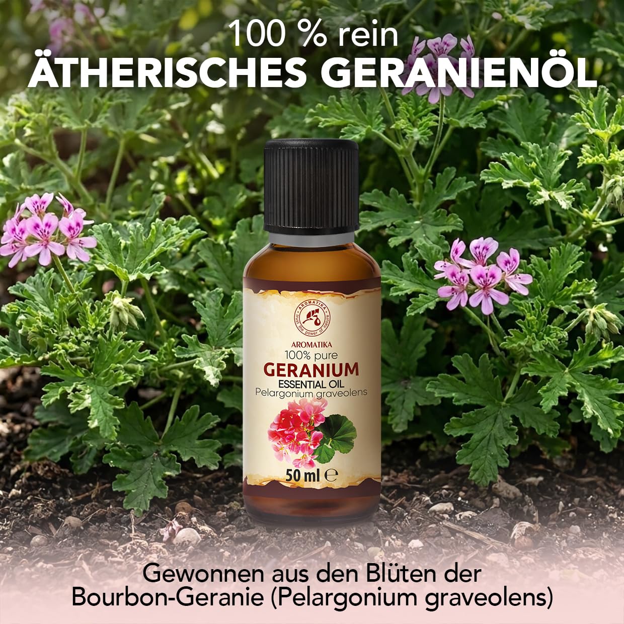aromatika-therisches-geranien-l-50-ml-reines-l-f-r-diffuser image 2