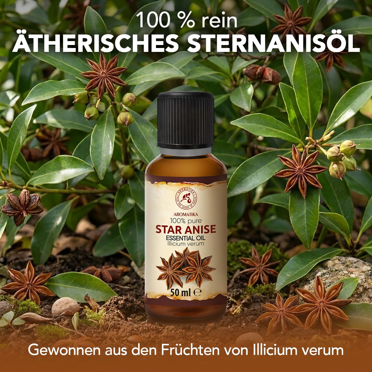 aromatika-therisches-sternanis-l-50ml-anis-l-f-r-diffuser-duftlampe image 2