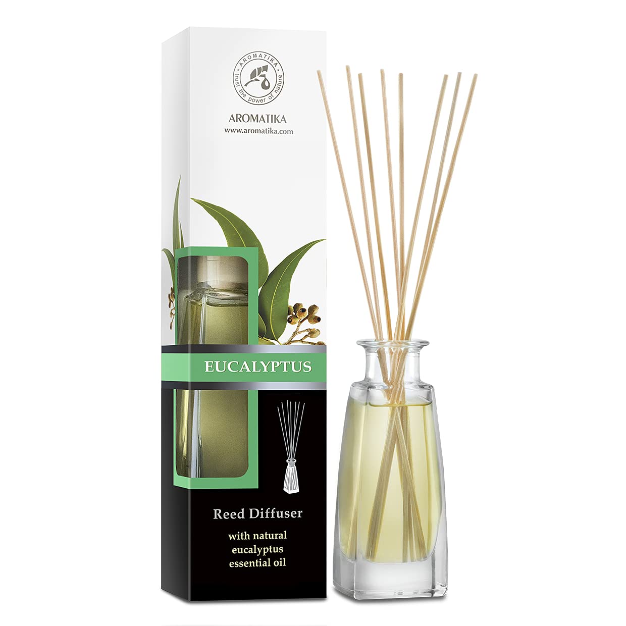 aromatika-raumduft-diffuser-eukalyptus-100ml-mit-st-bchen image 1