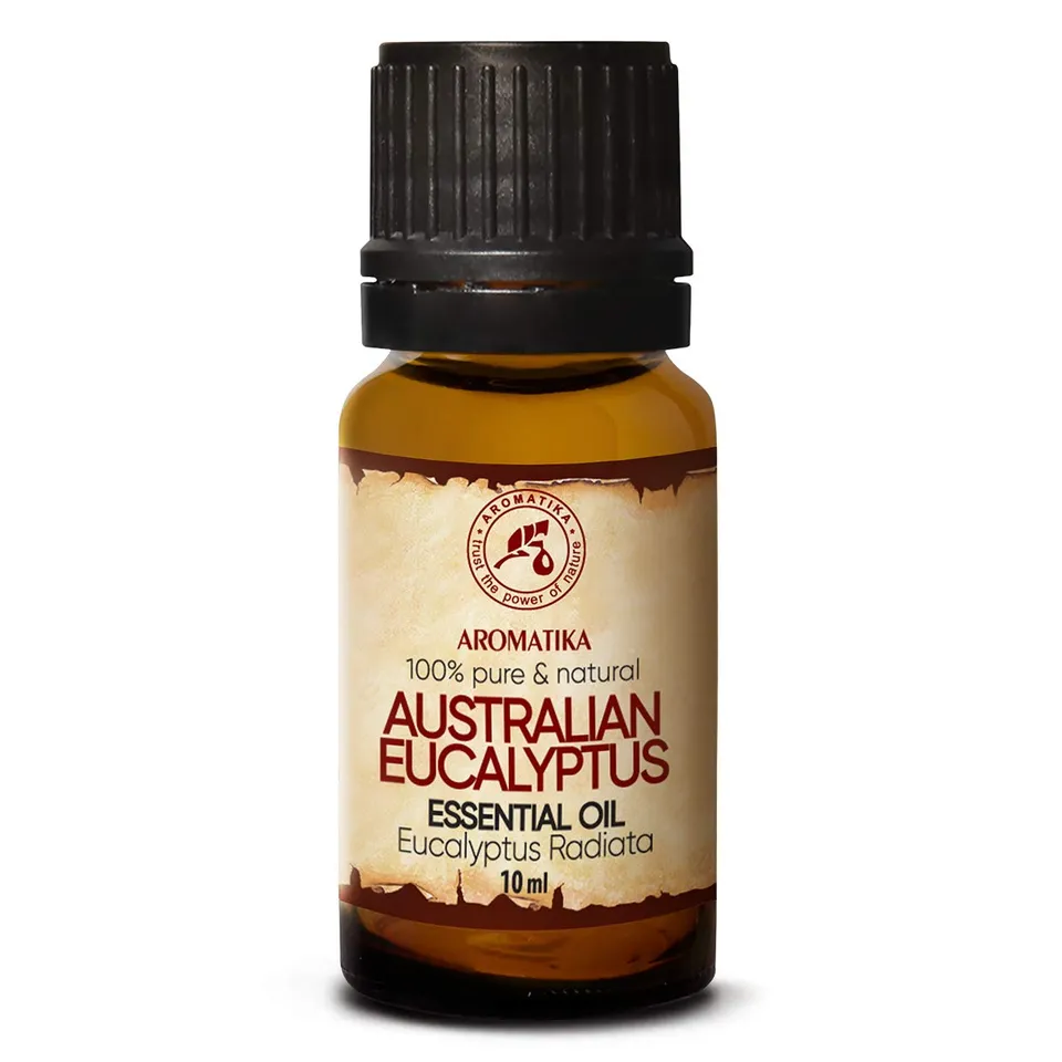 aromatika-australisches-eukalyptus-l-eukalyptus-radiata-reines-therisches-l-10-m image 1