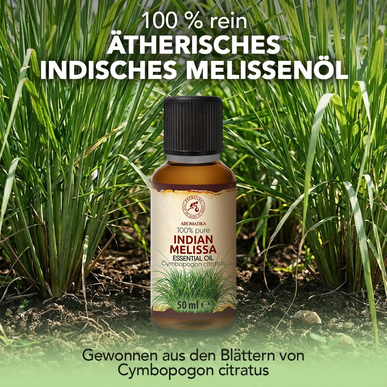 aromatika-therisches-indisches-melissen-l-50-ml-f-r-diffuser-und-duftlampe image 2