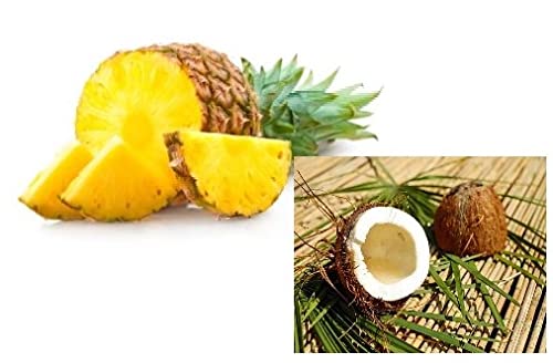 dufte-momente-saunaaufguss-konzentrat-ananas-kokos-1-liter image 5