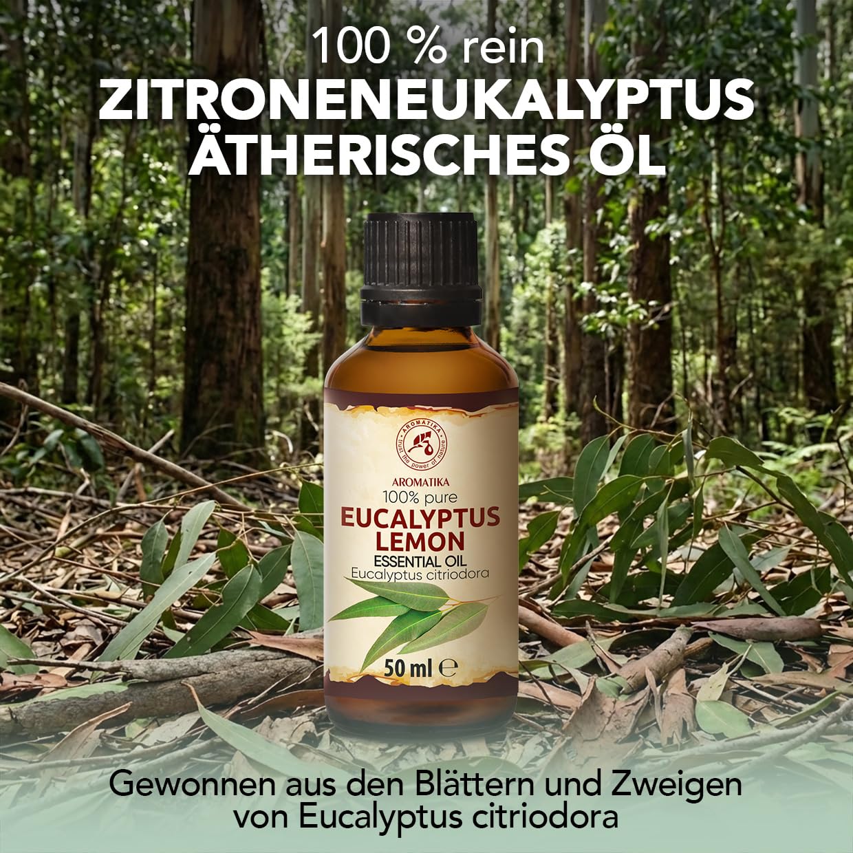 aromatika-zitroneneukalyptus-therisches-l-50ml-eucalyptus-citriodora image 2