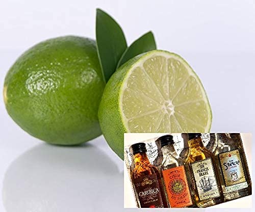 dufte-momente-saunaaufguss-konzentrat-limette-rum-500ml-pet-flasche image 7