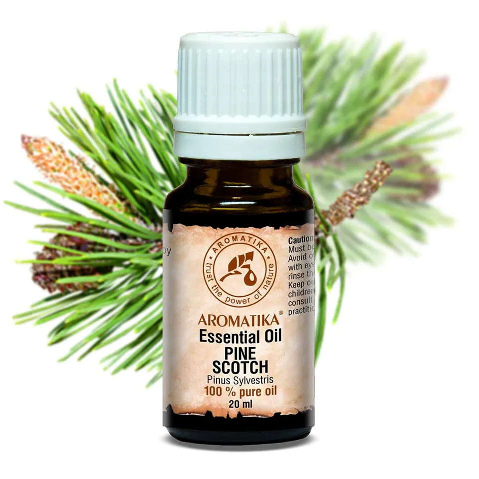 aromatika-kiefernnadel-l-20-ml-pinus-sylvestris-aus-sterreich image 1
