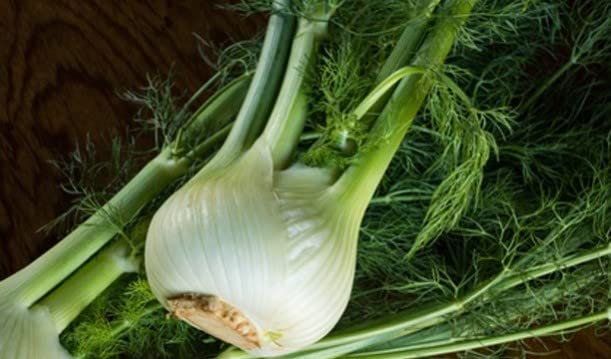 dufte-momente-fenchel-s-naturreines-therisches-l-10ml image 5