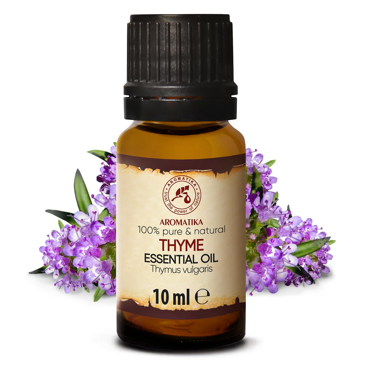 aromatika-thymian-l-therisch-10-ml-thymus-vulgaris image 4