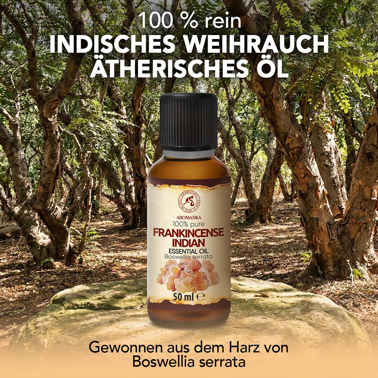 aromatika-indisches-weihrauch-therisches-l-50-ml-boswellia image 2