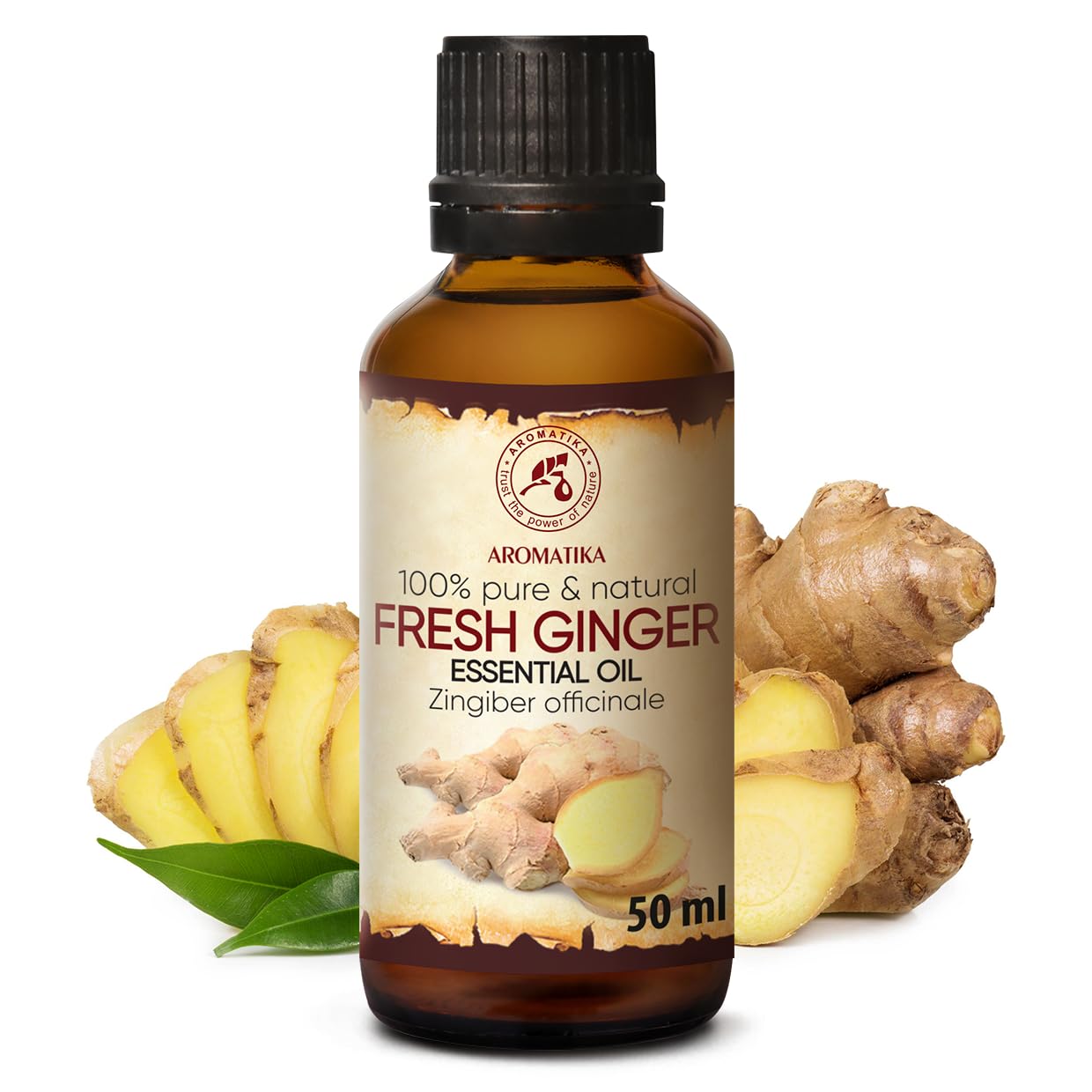 aromatika-therisches-ingwer-l-50ml-zingiber-officinalis-f-r-diffuser-duftlampe image 2