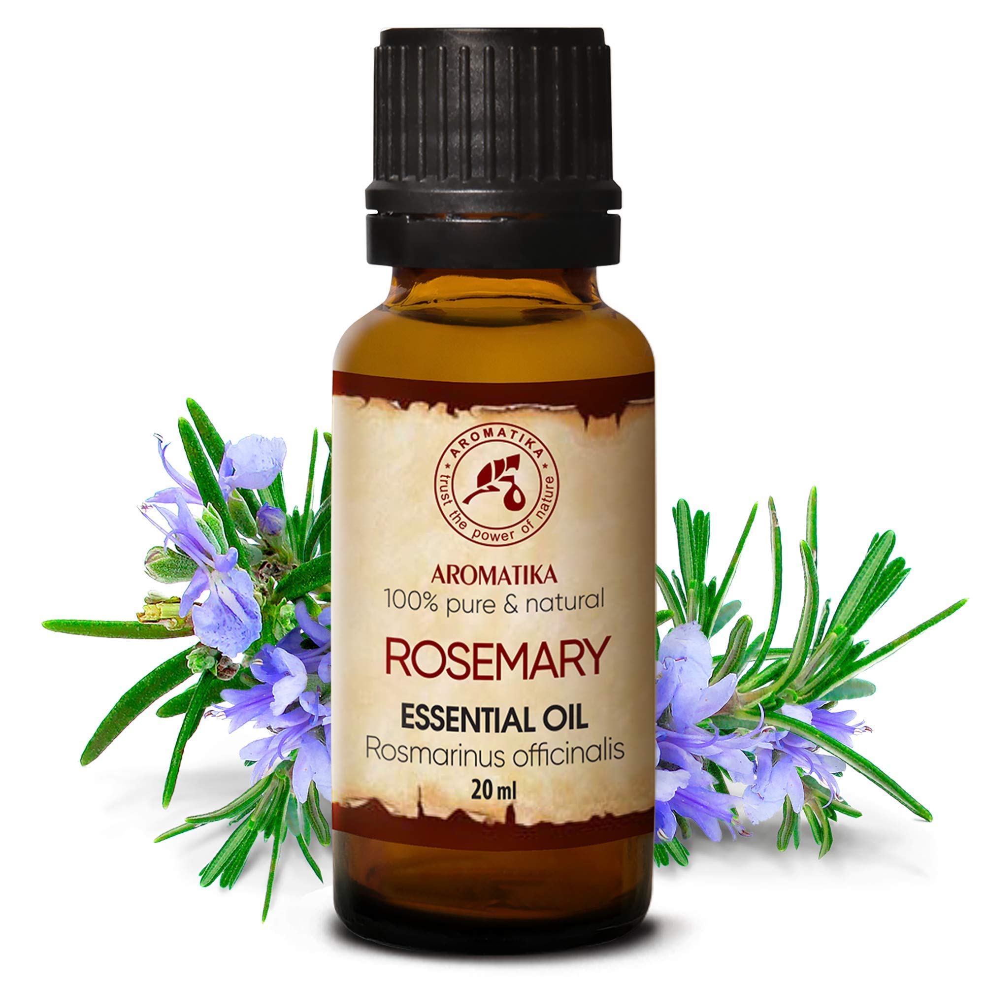 aromatika-rosmarin-l-20ml-reines-rosmarinus-officinalis-aus-spanien image 2
