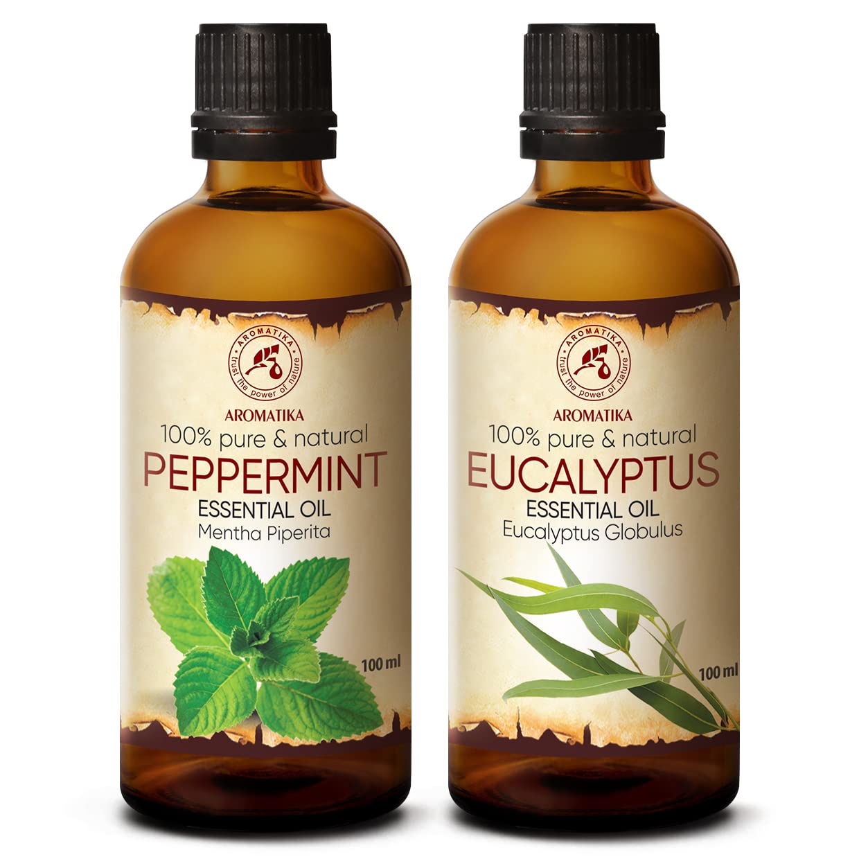 aromatika-therische-le-set-pfefferminze-eukalyptus-2x100ml image 1
