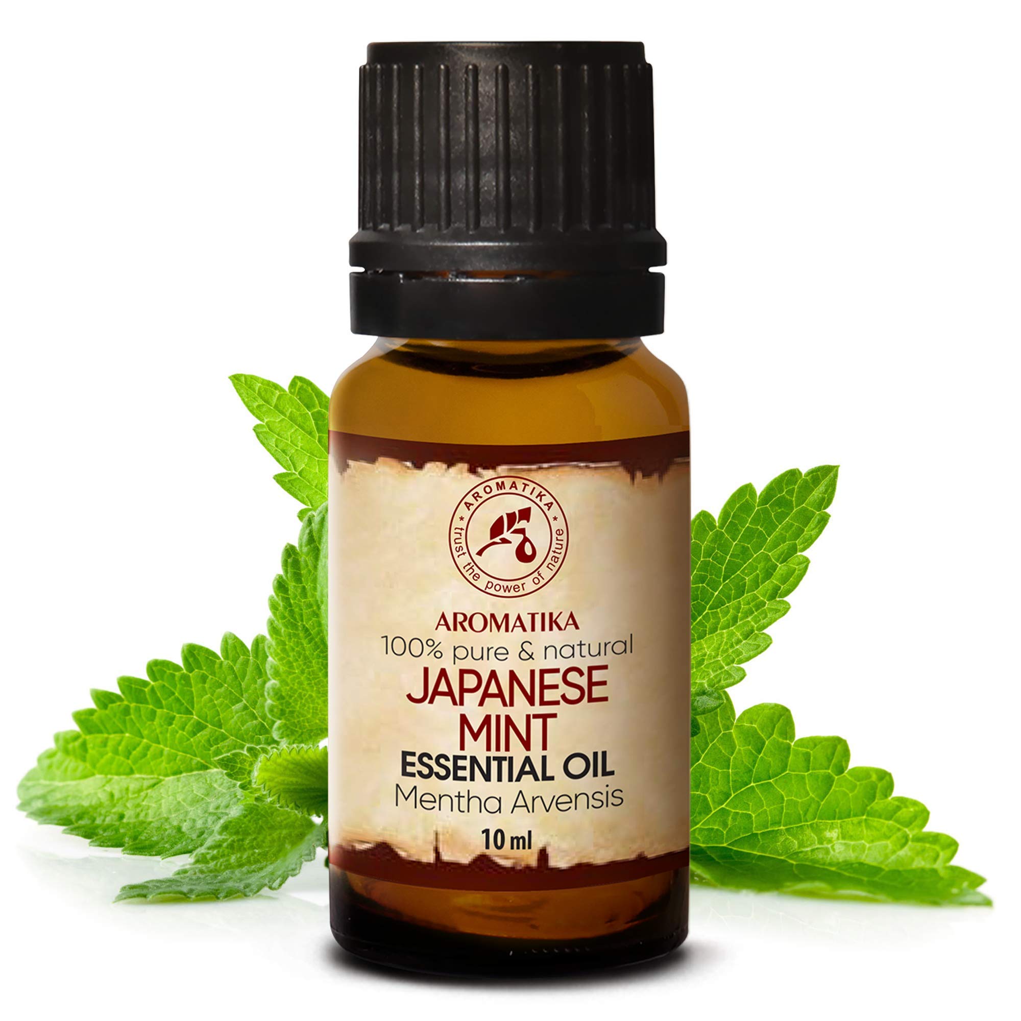 aromatika-minz-l-japanische-minze-10ml-naturreines-therisches-l-mentha-arvensis image 2