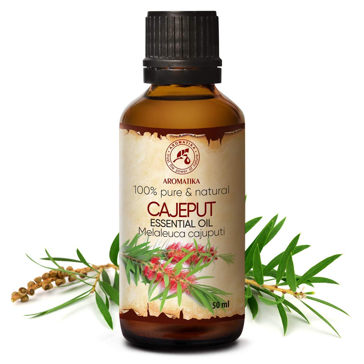 aromatika-therisches-cajeput-l-50ml-f-r-diffusor-sauna image 2