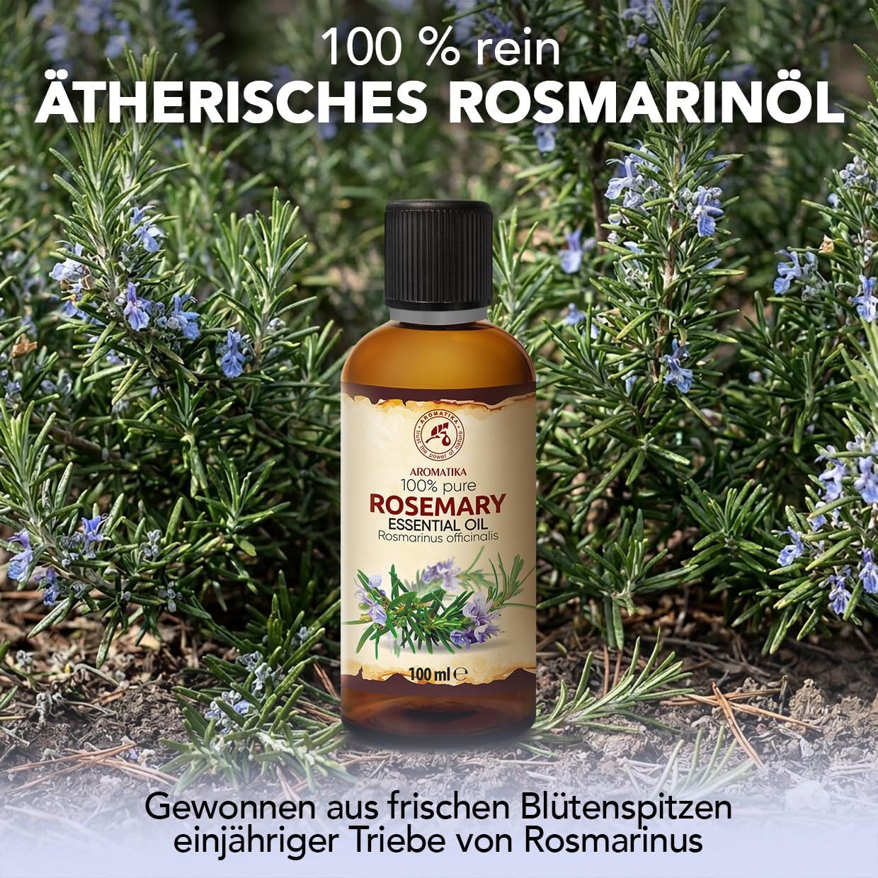 aromatika-therisches-rosmarin-l-100-ml-f-r-diffusor-und-duftlampe image 2
