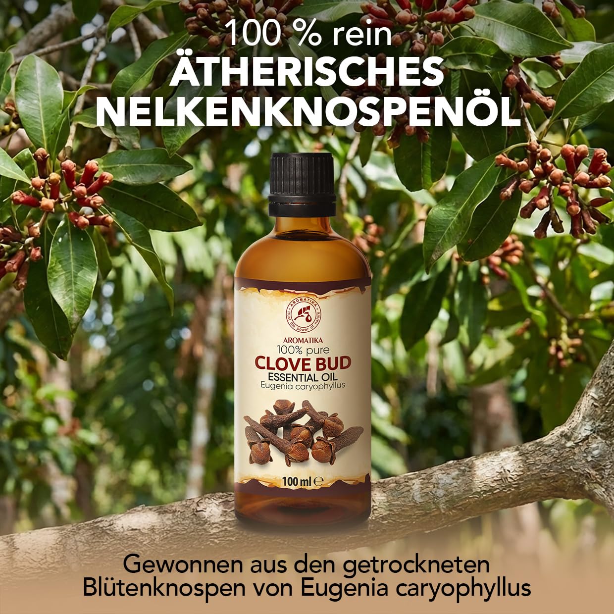 aromatika-therisches-nelkenknospen-l-100-ml-f-r-diffuser-duftlampe image 2