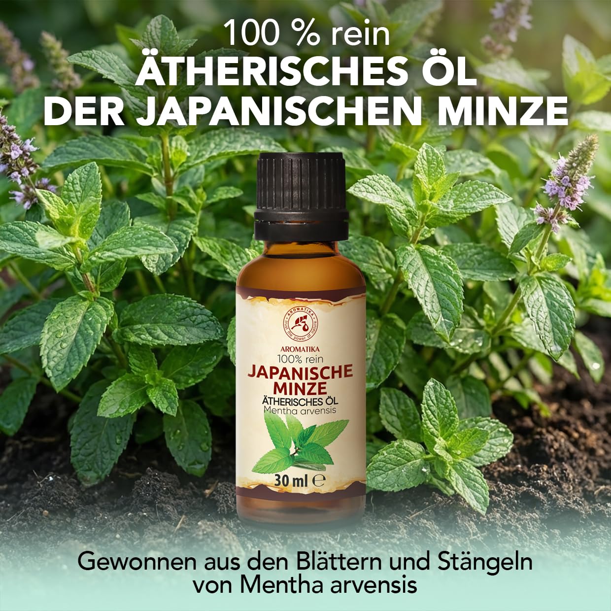 aromatika-therisches-l-japanische-minze-30-ml-f-r-diffuser-und-duftlampe image 2