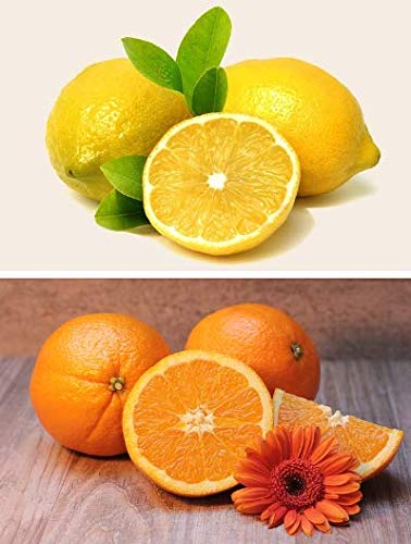 dufte-momente-badezusatz-orange-citrus-100ml-bade-l-in-glasflasche-mit-korkm-ndu image 5
