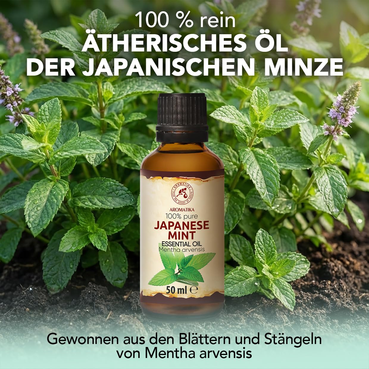 aromatika-therisches-l-japanische-minze-50-ml-f-r-diffuser image 2