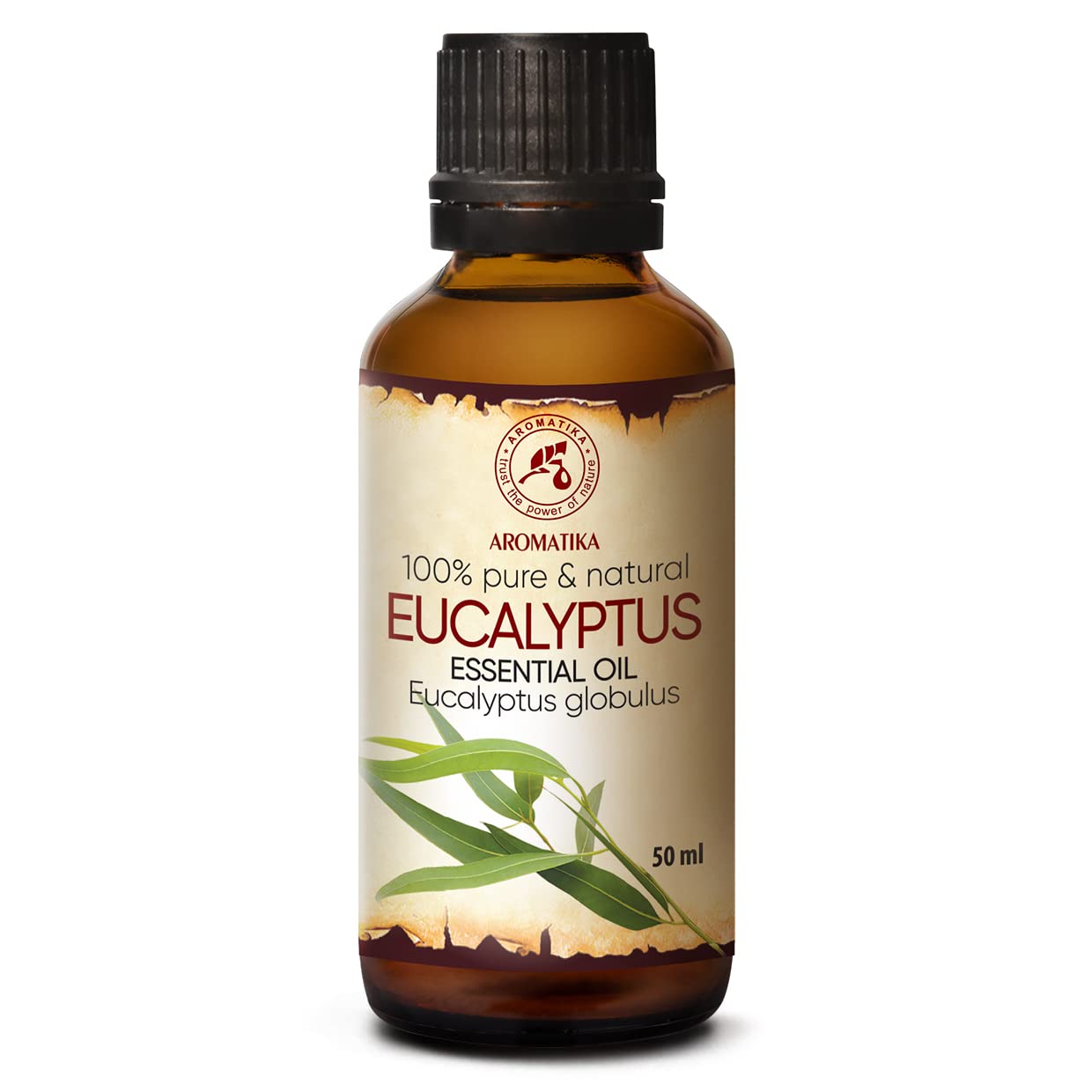 aromatika-therisches-eukalyptus-l-50-ml-eucalyptus-globulus image 1