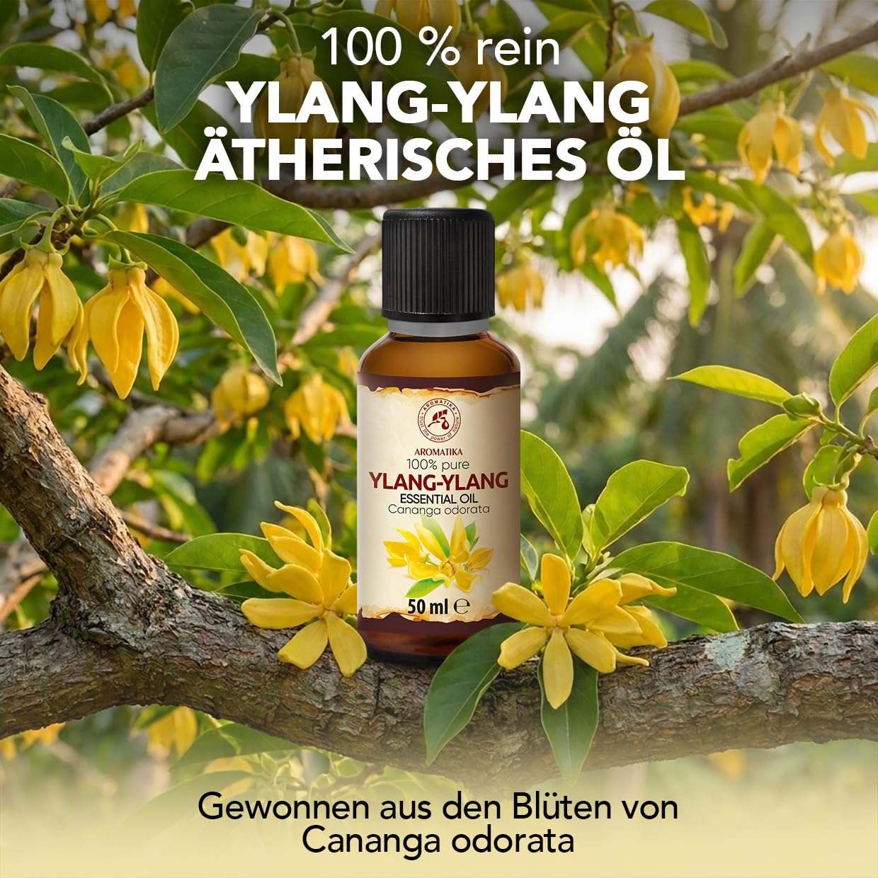 aromatika-ylang-ylang-therisches-l-50-ml-f-r-diffusor-und-duftlampe image 2