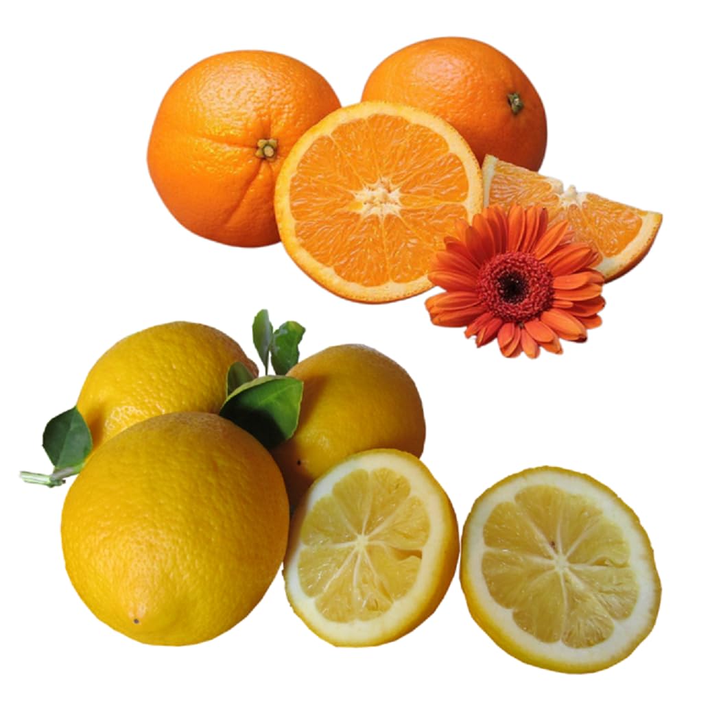 dufte-momente-whirlpool-duft-orange-citrus-1000-ml-mit-therischen-len image 3