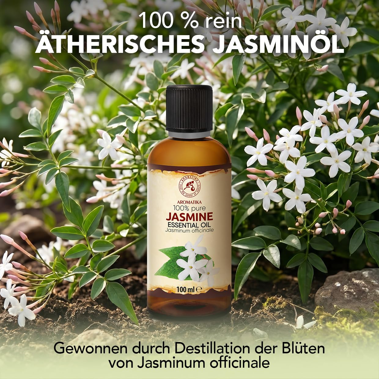 aromatika-therisches-jasmin-l-jasminum-officinale-100-ml image 2