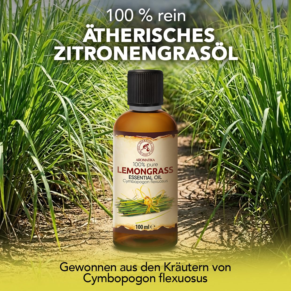 aromatika-therisches-zitronengras-l-2x100-ml-reines-l-f-r-diffuser image 2